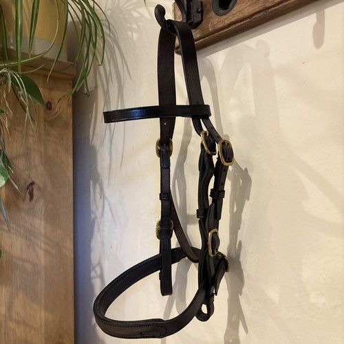 Hand show bridle - in, brown