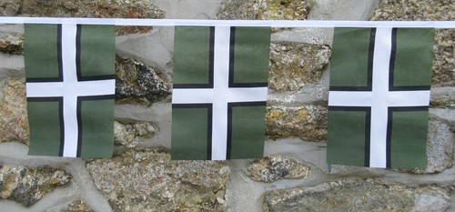 Devon flag polyester - devon,