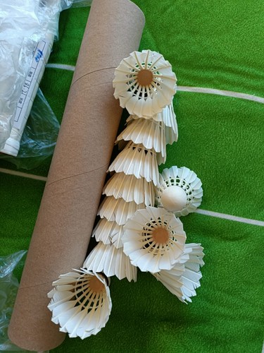 Unbranded feather badminton - feather,