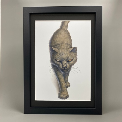 Greebo framed art - framed, paul