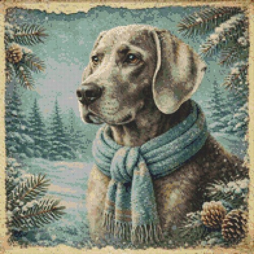 Weimaraner puppy dog - dog, comfort