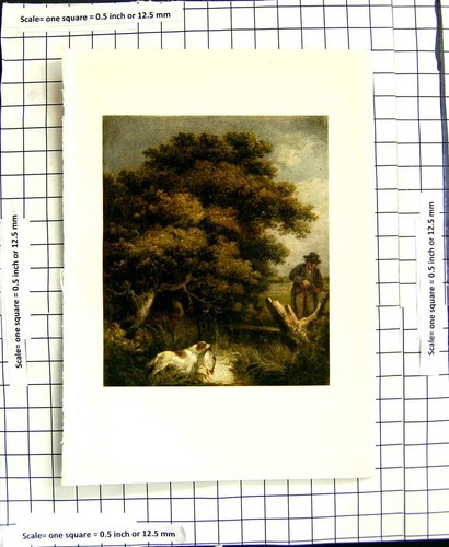 Original old antique print - original,