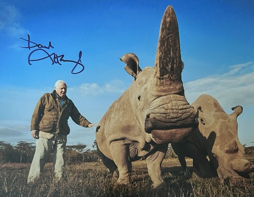 David attenborough authentic - attenborough,