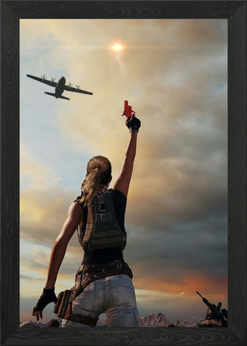 Aircraft framed wall - aircraft,