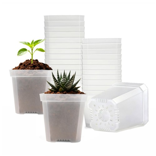 Clear nursery pots with - clear,