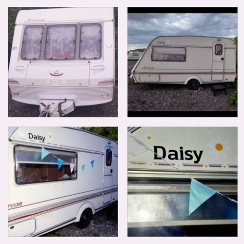 Lovely daisy perfect for - *lovely"daisy"perfect,