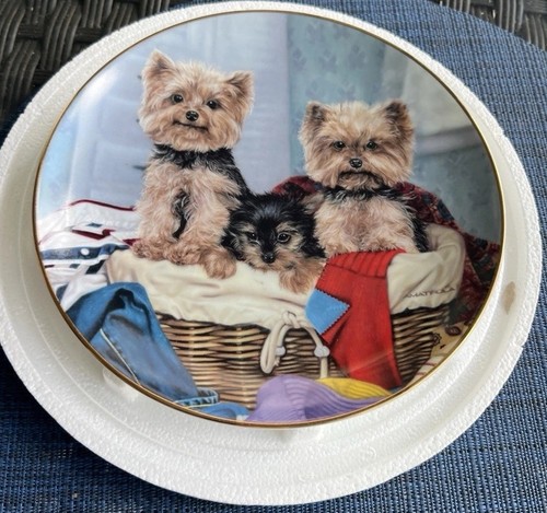 Danbury mint hamper - danbury,