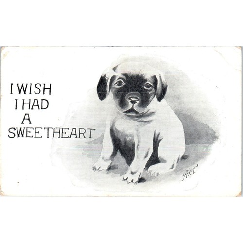 Mastiff puppy dog wish had - dog, i