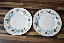 VINTAGE COLCLOUGH CHINA LINDEN