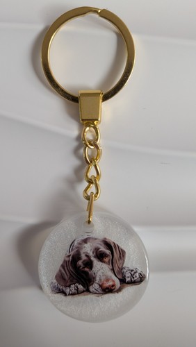 German pointer pup sleeping - german,