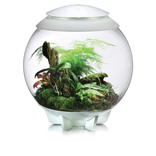 Biorb air terrarium - air, 60