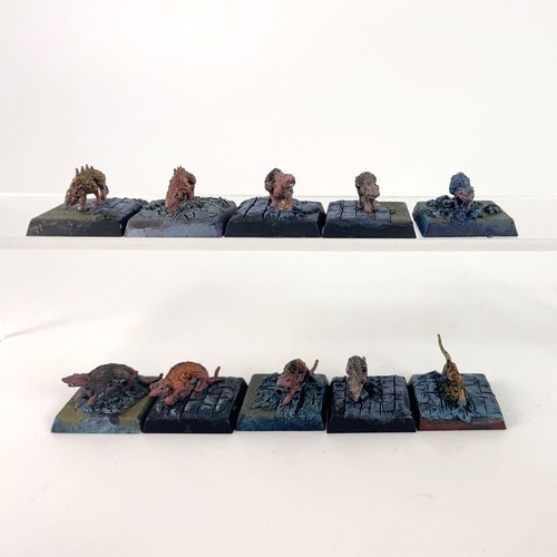 X10 giant rats - giant,