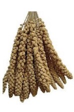 Premium millet spray - premium,