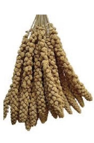 X10premium millet spray - x10premium,