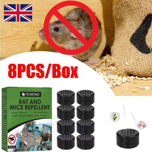 24x rat mouse - mouse, pill