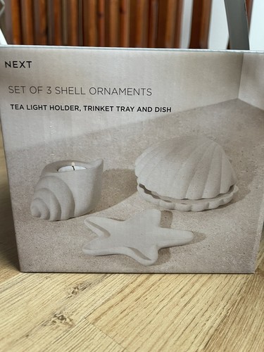 Next set shell - 3, ornament