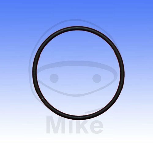 Ring valve gasket - o-ring,