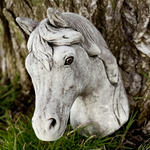 Concrete horse bust stone - horse,