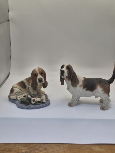 Dog bassett hound country - dog,