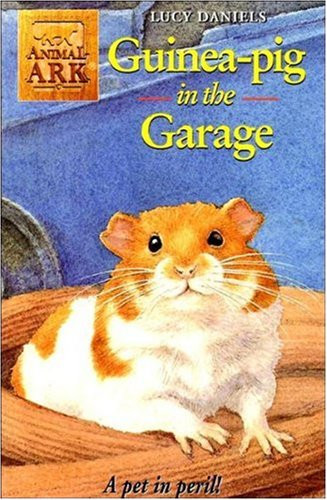 Guinea pig the - in,