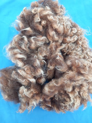 Natural moorit brown washed - natural,
