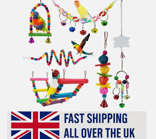 Pack parrot toys - parrot,
