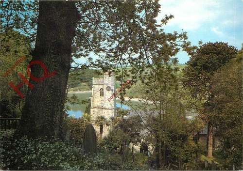 Picture postcard roseland - picture, postcard: