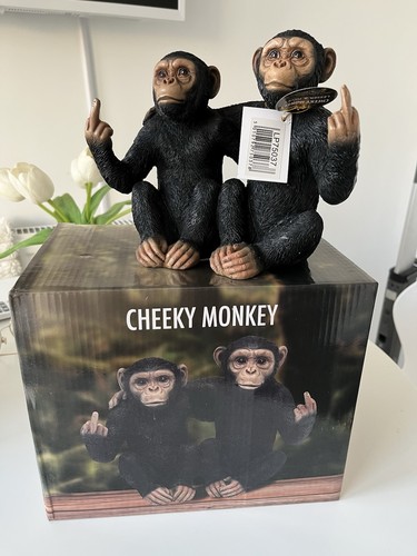 Lesser pavey cheeky monkeys - &,