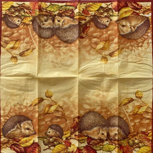 Paper napkins 21x21 for - cm,