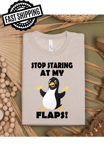 Stop staring flaps - stop,