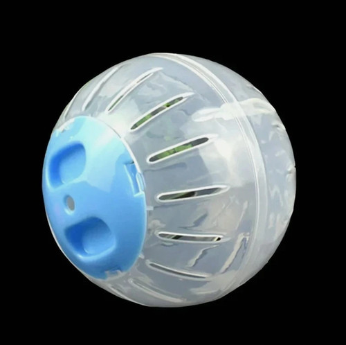 Small pet hamster - pet, exercise