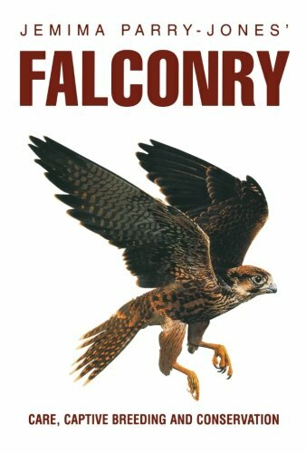 Falconry care captive - care,,