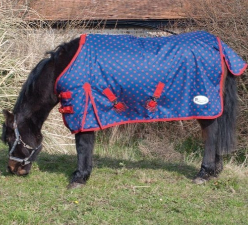 Rhinegold dottie foal small - rhinegold, foal/small