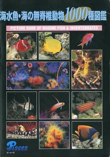 Saltwater fish illustrated - saltwater,