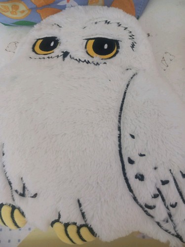Harry potter hegwid - harry,