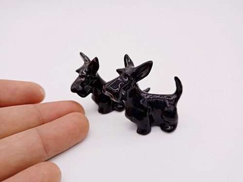 Twin black cute - black, puppies