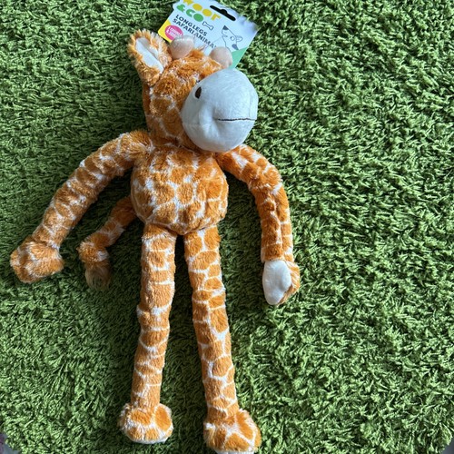 Large long legged - , giraffe