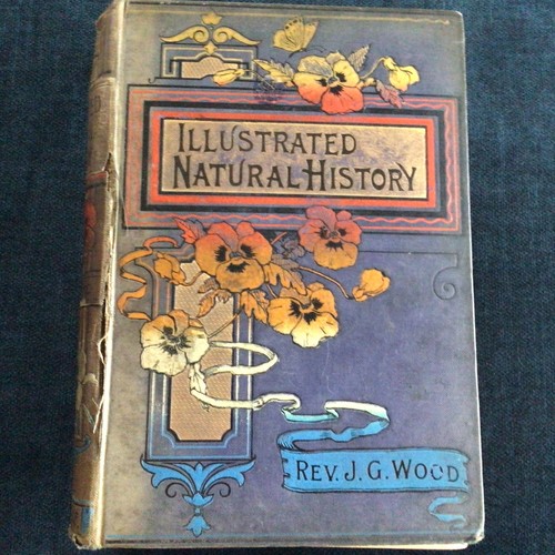 Illustrated natural history - illustrated,