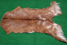 Luxury Goat hide Rug Hair on