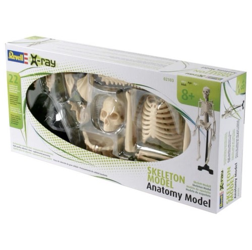 Revell human skeleton anatomy - revell,