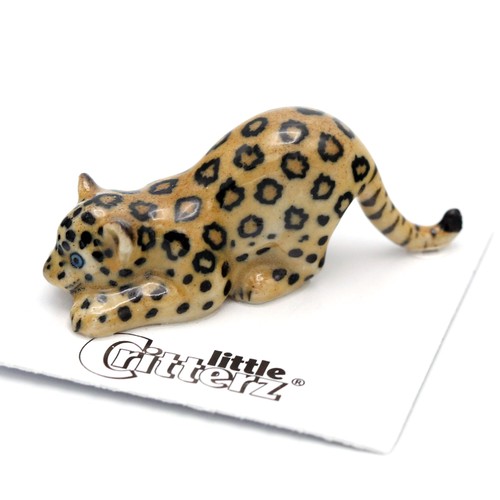 Little critterz jaguar - critterz, cub