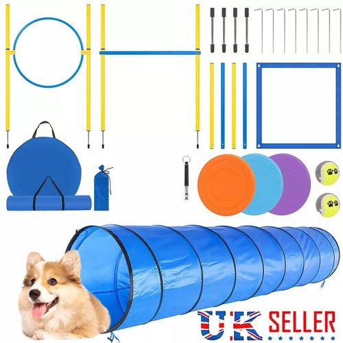 Dog agility equipment set - uk,