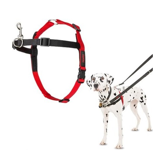 Halti front control dog - front,
