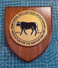 TA + volunteers association