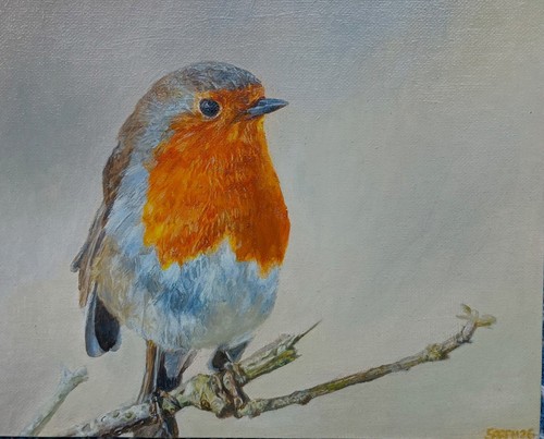 Robin oil painting - , canvas