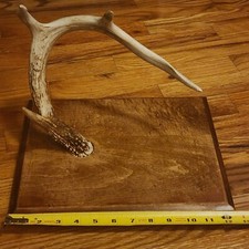 Genuine Real Whitetail Deer
