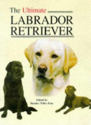 The ultimate labrador - the,