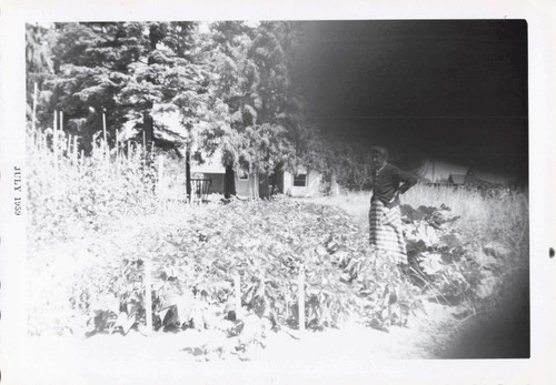 Vtg photo woman farming - photo,