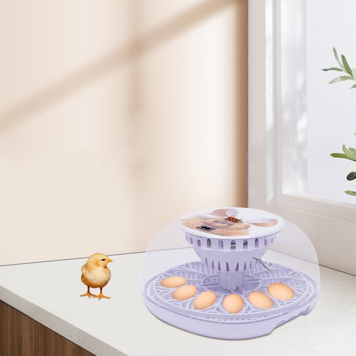 Digital egg incubator - 12-egg,