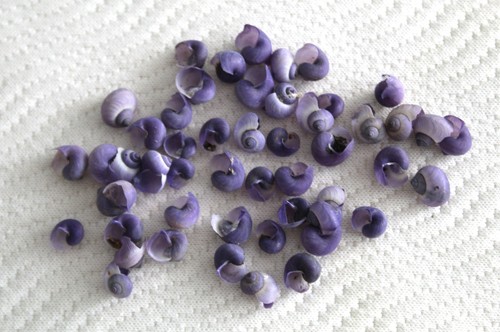 Smallest uncommon purple - smallest, 'purple